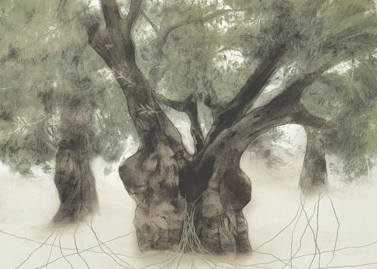 The Olive Tree Art Print